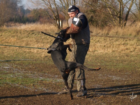 Synthie Pasecke udoli 12/2006